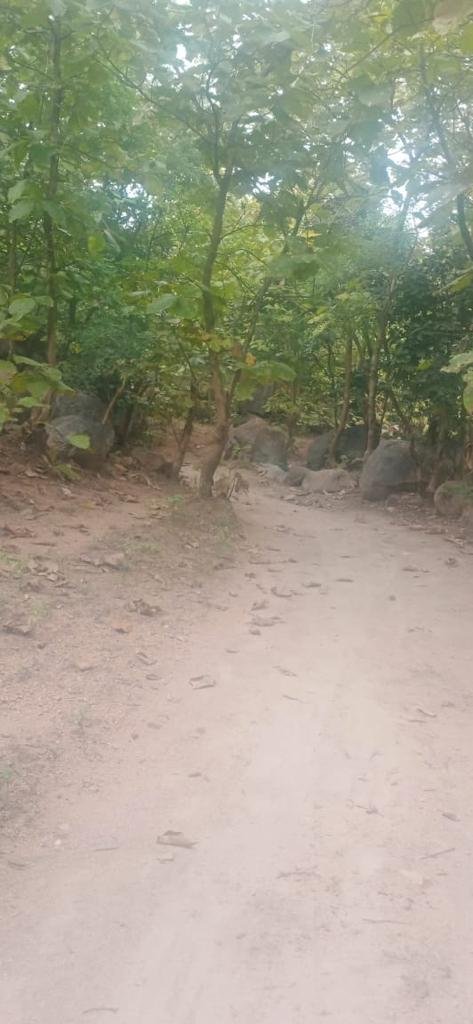 WhatsApp-Image-2023-04-15-at-5.33.55-PM