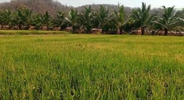 WhatsApp-Image-2023-04-18-at-3.23.49-PM