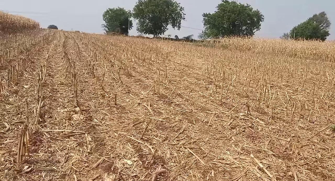 WhatsApp-Image-2023-04-19-at-10.22.48-AM