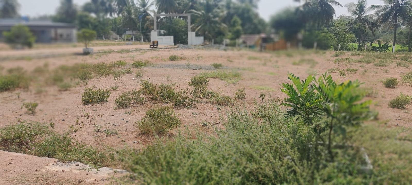 WhatsApp-Image-2023-04-19-at-12.05.27-PM