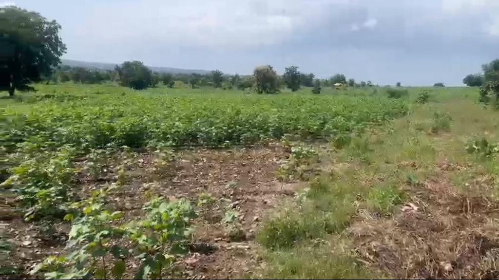 WhatsApp-Image-2023-04-19-at-4.51.35-PM