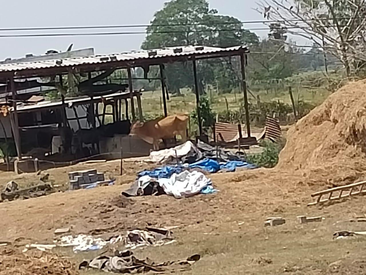 WhatsApp-Image-2023-04-25-at-12.01.13-PM-1