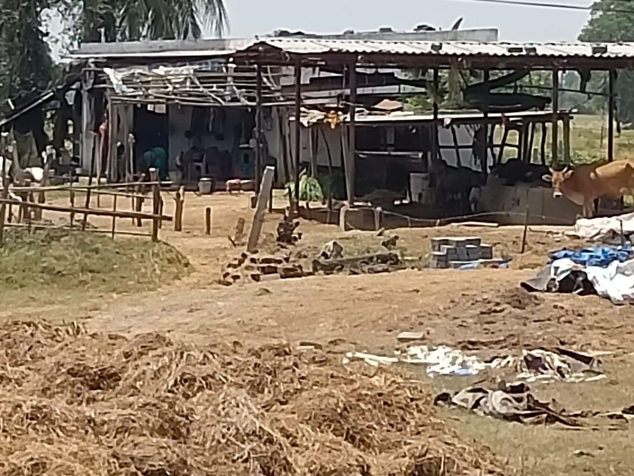 WhatsApp-Image-2023-04-25-at-12.01.14-PM-1