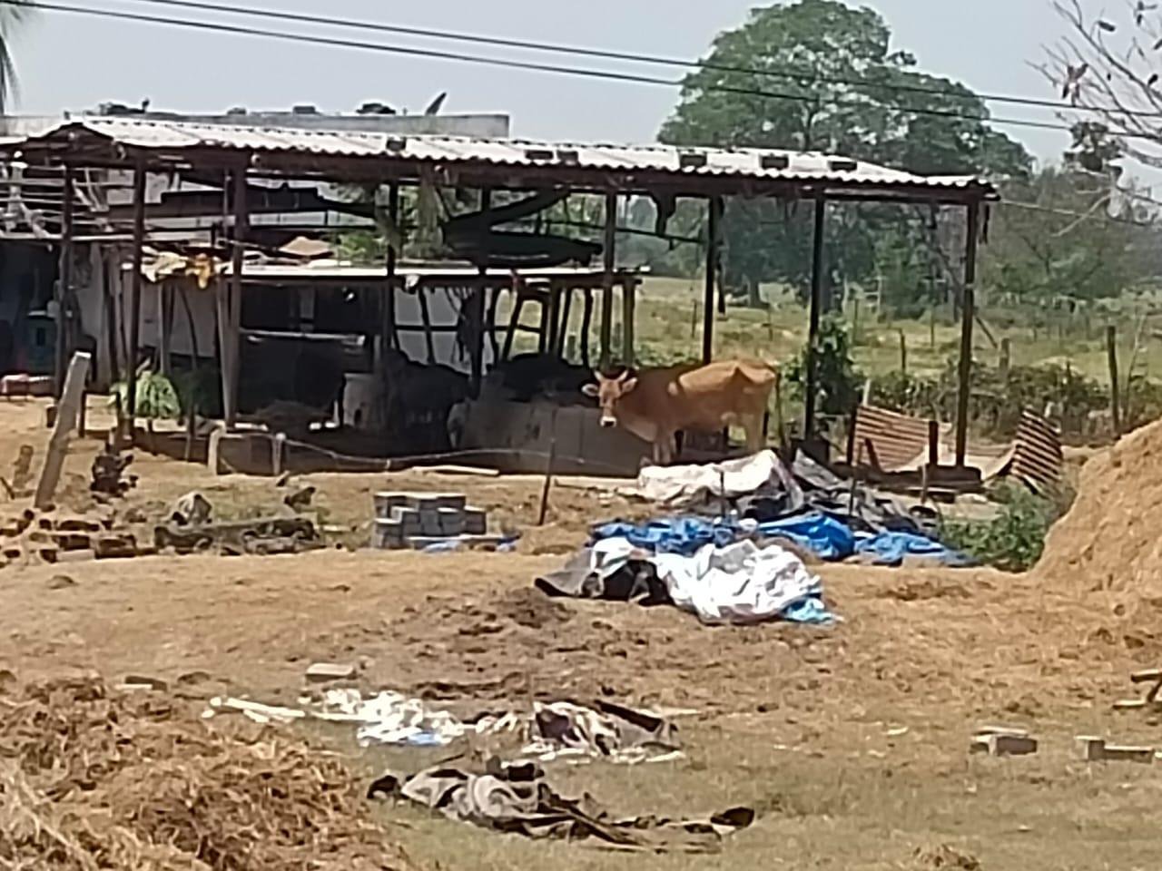 WhatsApp-Image-2023-04-25-at-12.01.14-PM