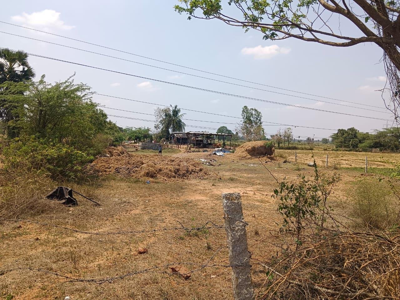 WhatsApp-Image-2023-04-25-at-12.01.15-PM