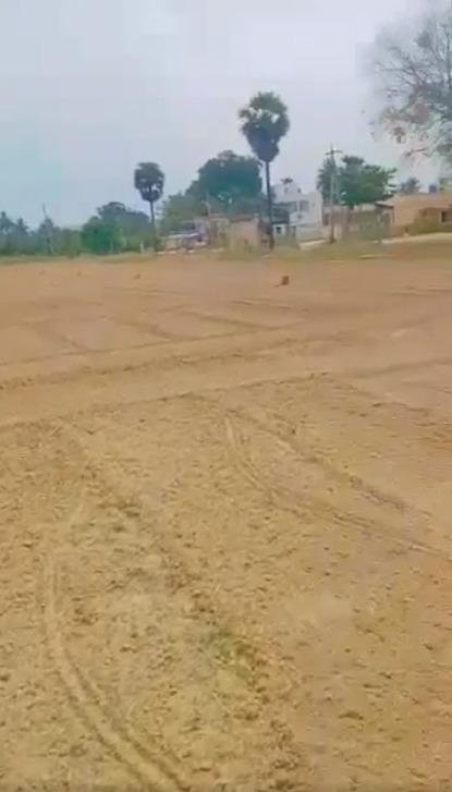 WhatsApp-Image-2023-04-27-at-3.06.32-PM-1