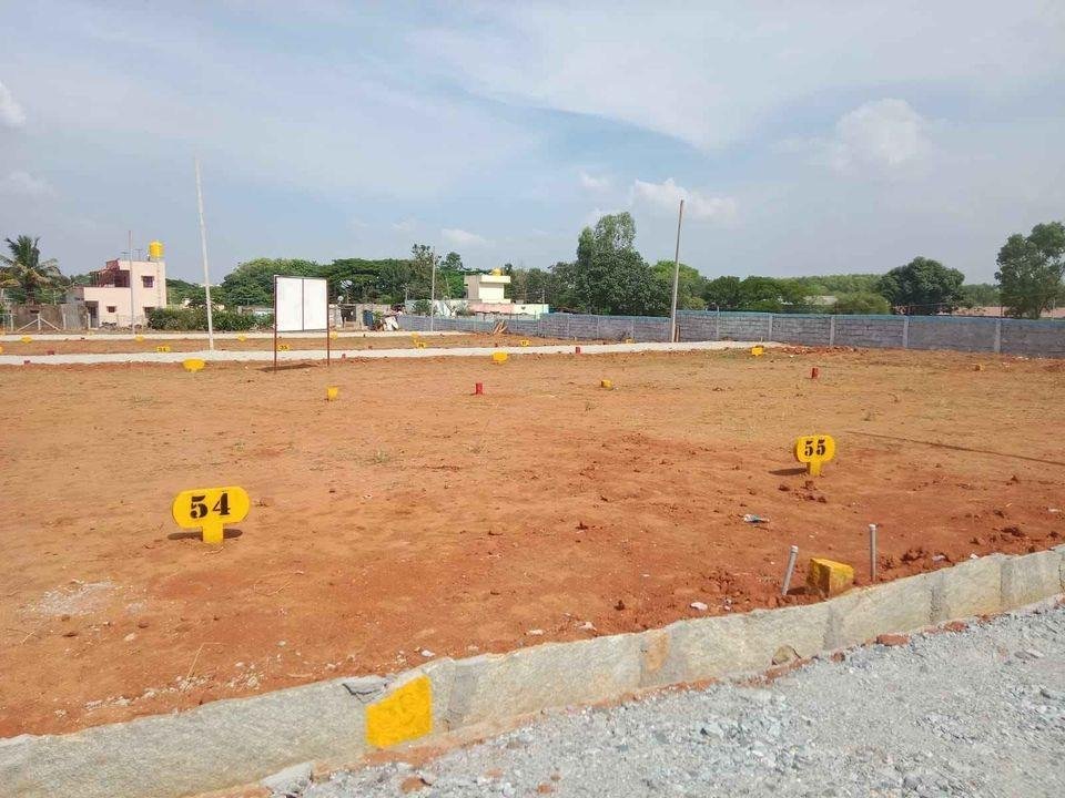 WhatsApp-Image-2023-04-28-at-11.50.55-AM-1