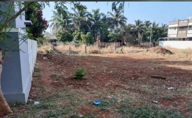 WhatsApp-Image-2023-04-29-at-10.12.53-AM