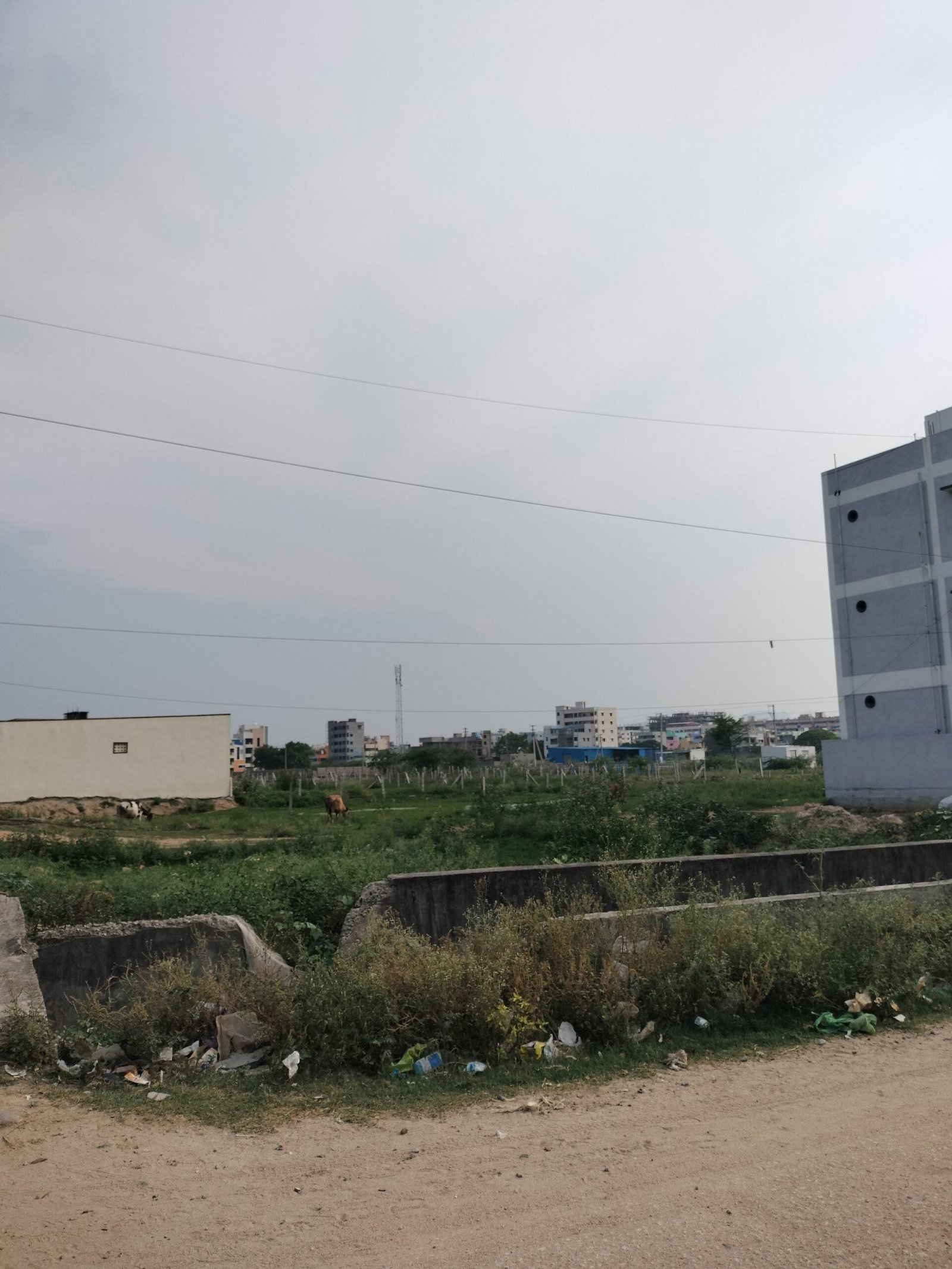 1684579616850871238445058764041