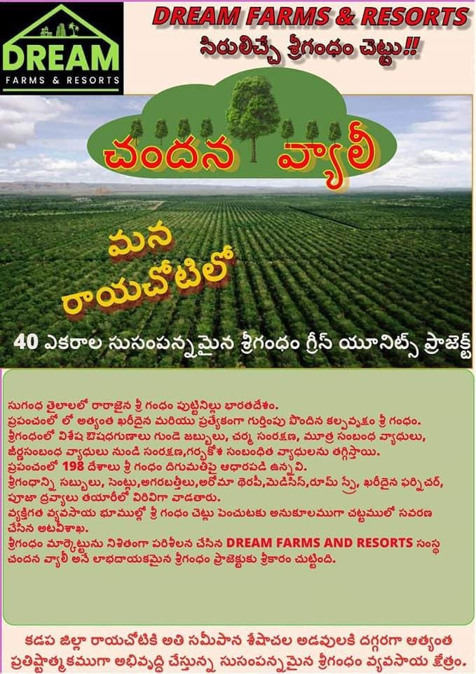 270178682_459768515659808_7788687023537917693_n