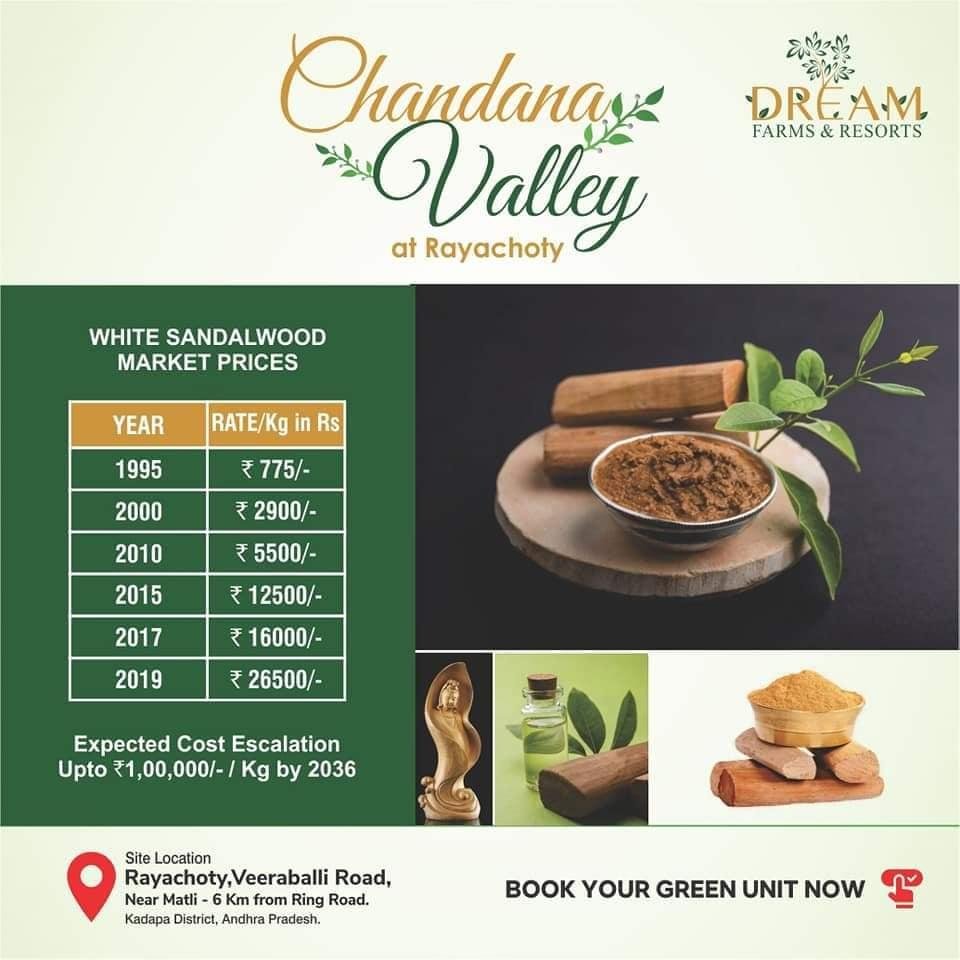 270221553_459768472326479_2673209946084023988_n