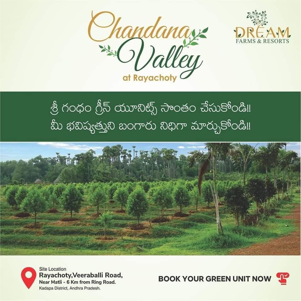 270378918_459768692326457_1746930304622670036_n