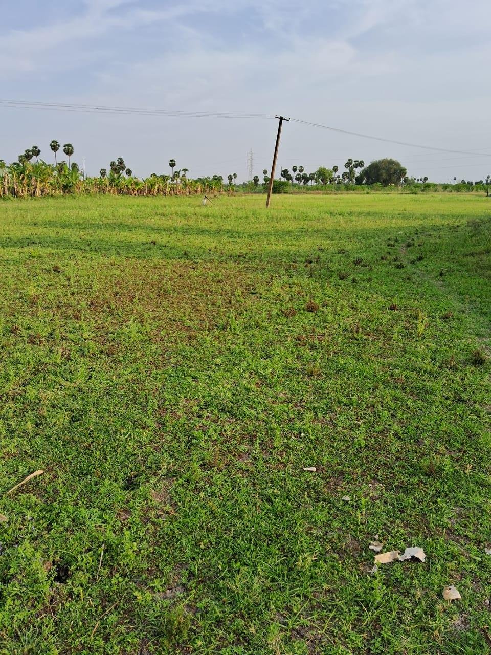 WhatsApp-Image-2023-04-29-at-4.12.47-PM