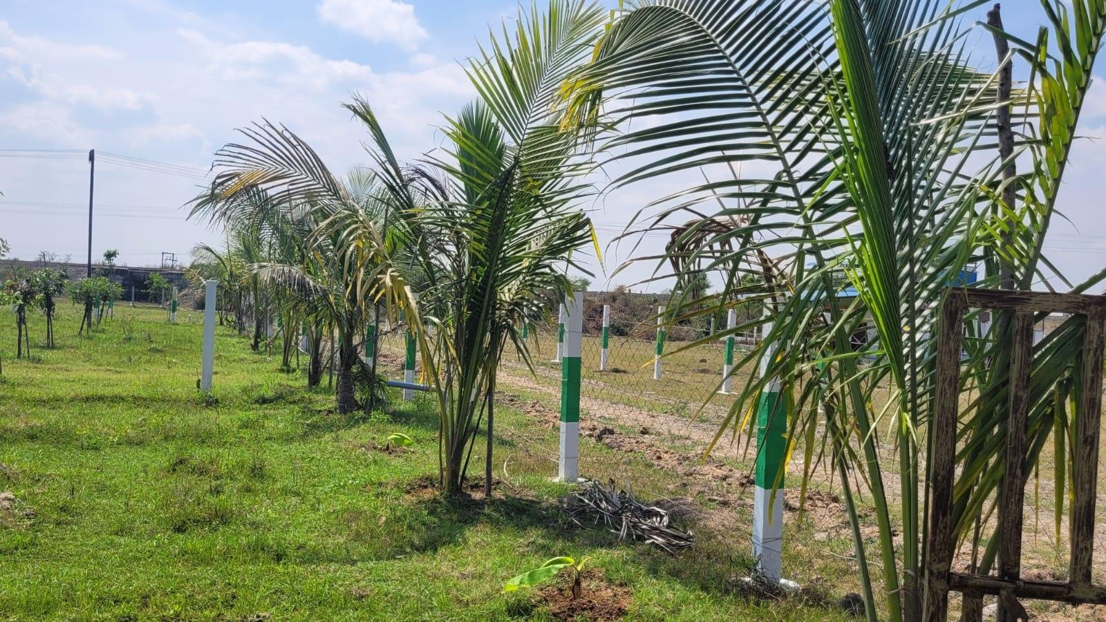 WhatsApp-Image-2023-04-30-at-11.32.08-1