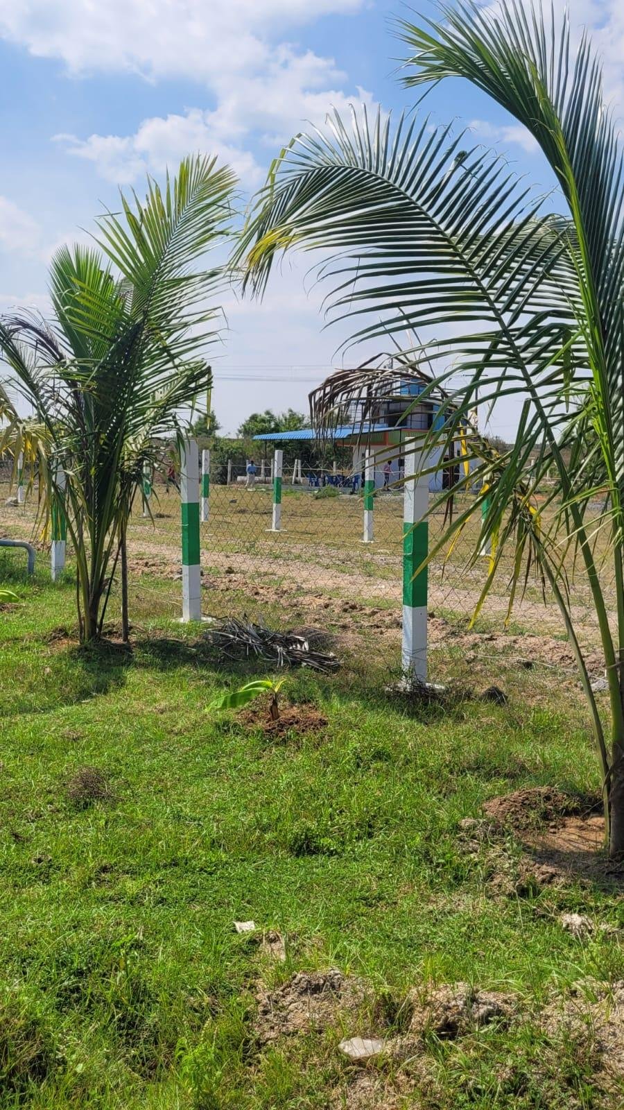 WhatsApp-Image-2023-04-30-at-11.32.08