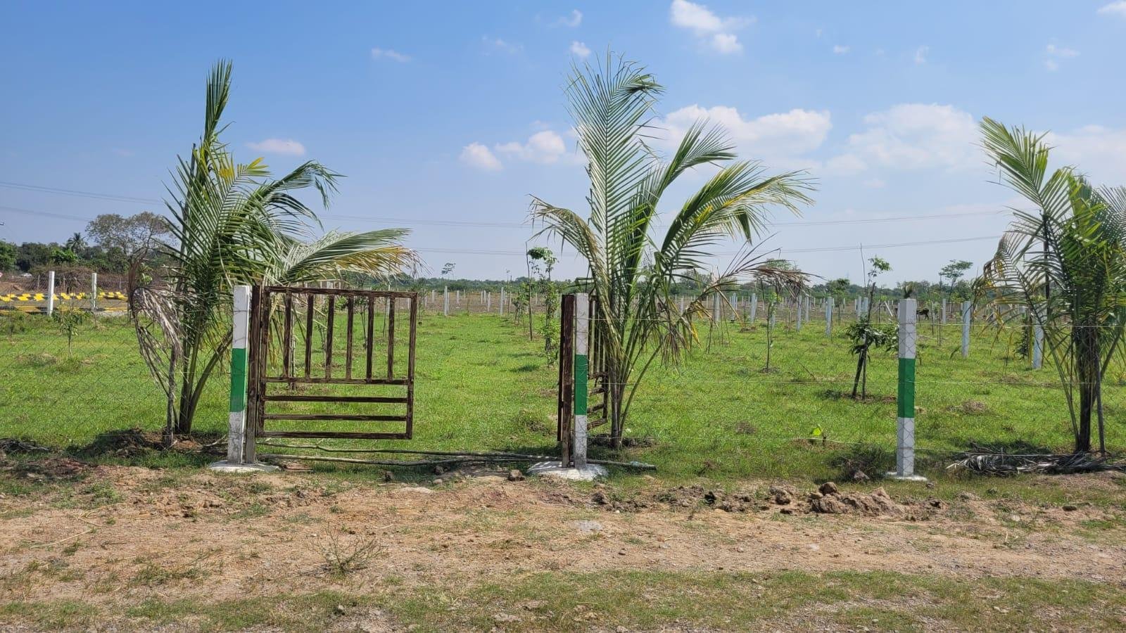 WhatsApp-Image-2023-04-30-at-11.32.09