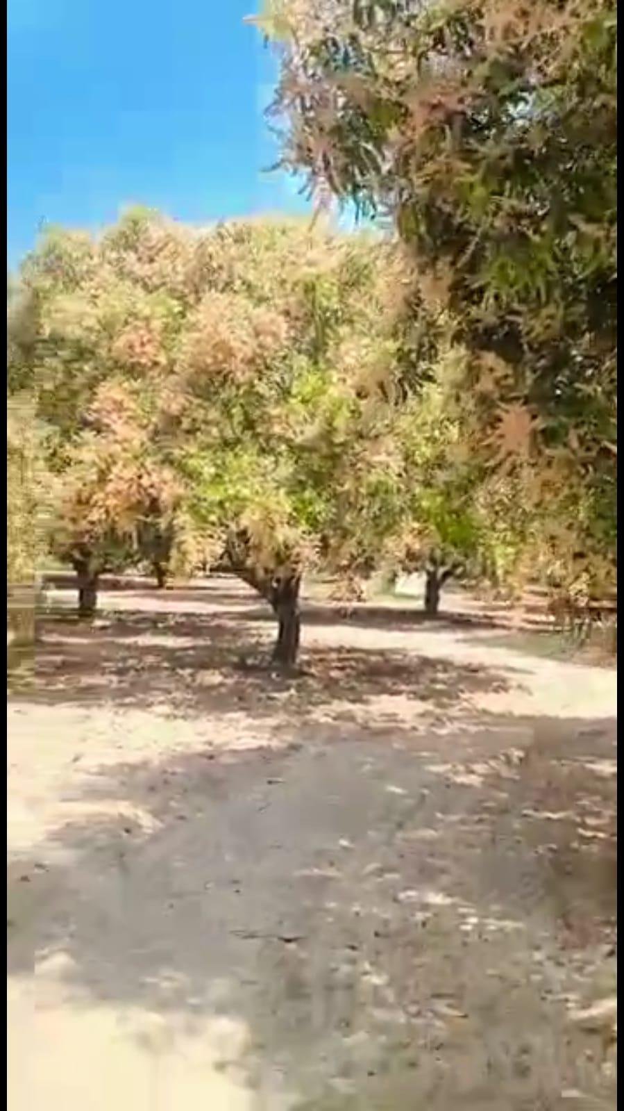 WhatsApp-Image-2023-05-01-at-11.12.03-AM-1