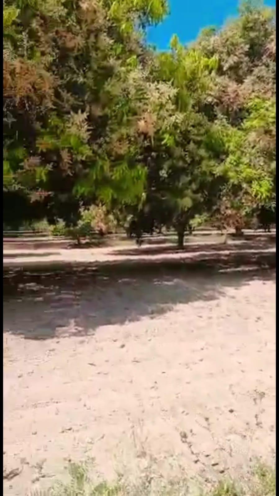 WhatsApp-Image-2023-05-01-at-11.12.03-AM