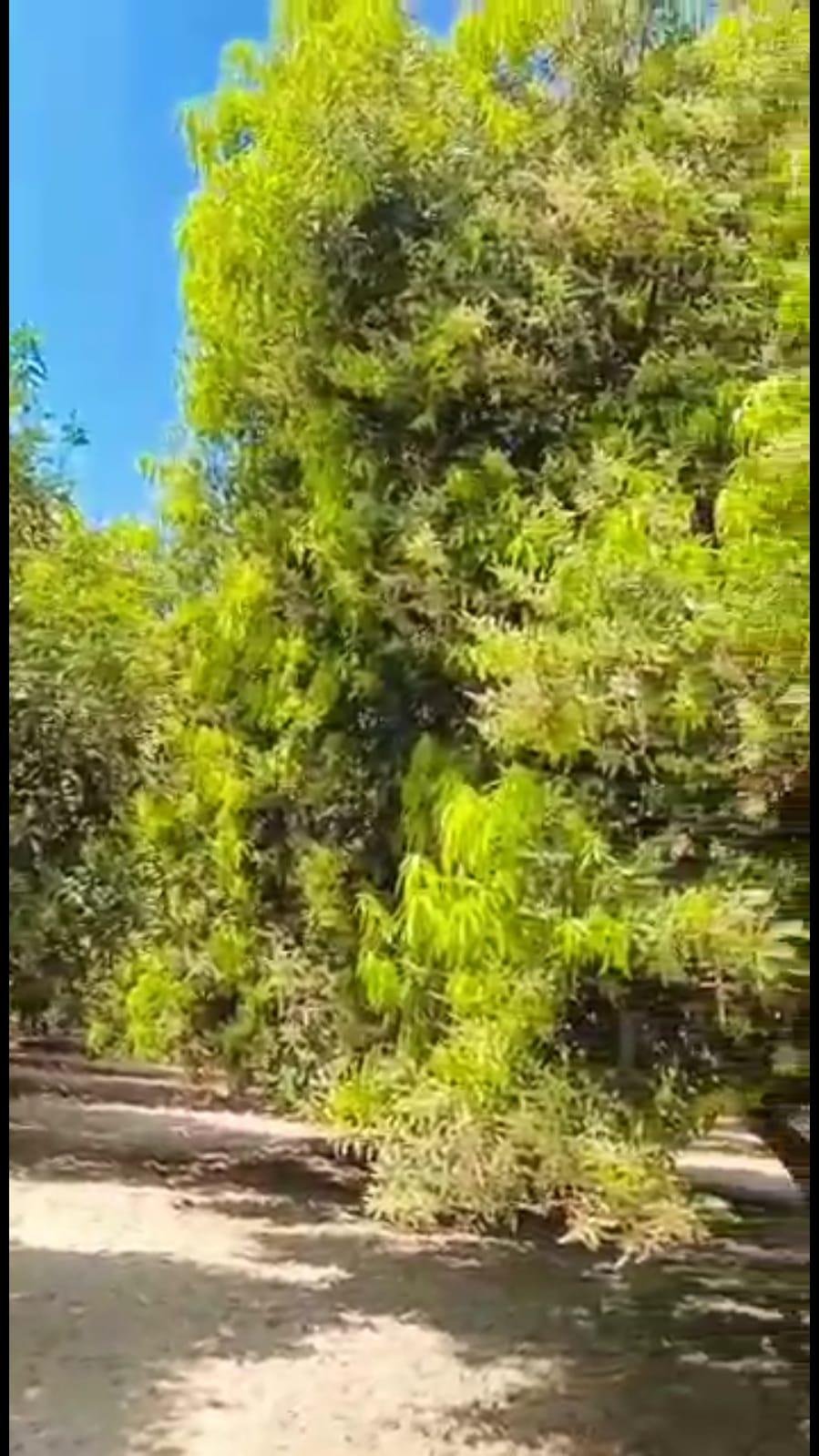 WhatsApp-Image-2023-05-01-at-11.12.04-AM-1