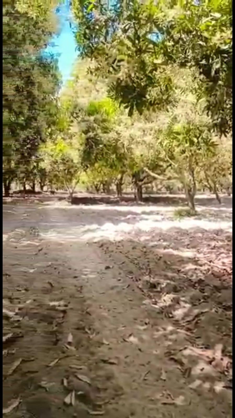 WhatsApp-Image-2023-05-01-at-11.12.05-AM-1