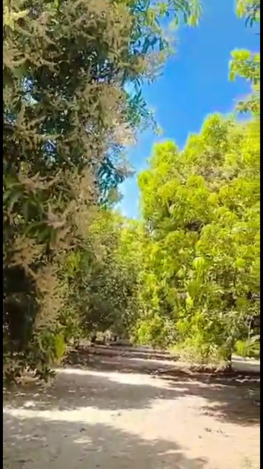 WhatsApp-Image-2023-05-01-at-11.12.05-AM