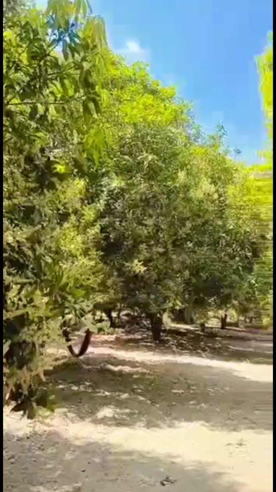 WhatsApp-Image-2023-05-01-at-11.12.06-AM