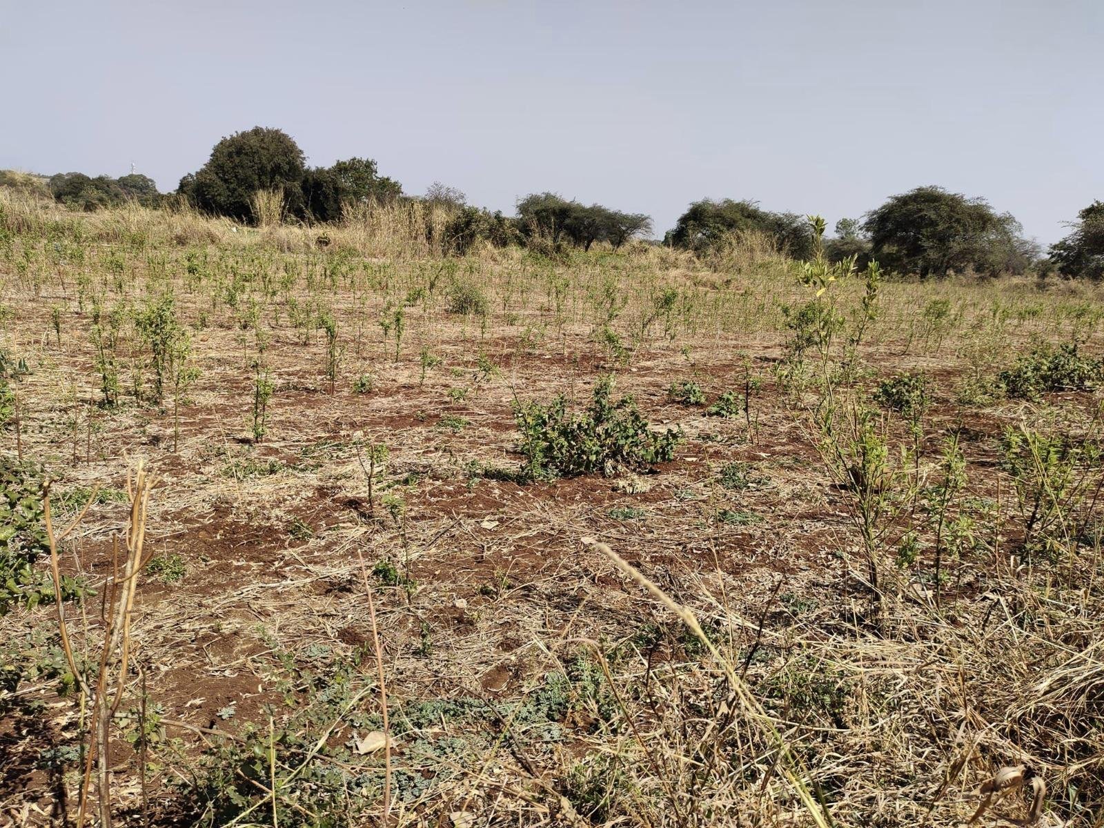 WhatsApp-Image-2023-05-01-at-12.18.30-PM