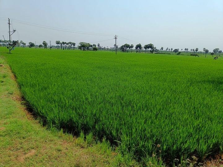 WhatsApp-Image-2023-05-01-at-2.36.26-PM