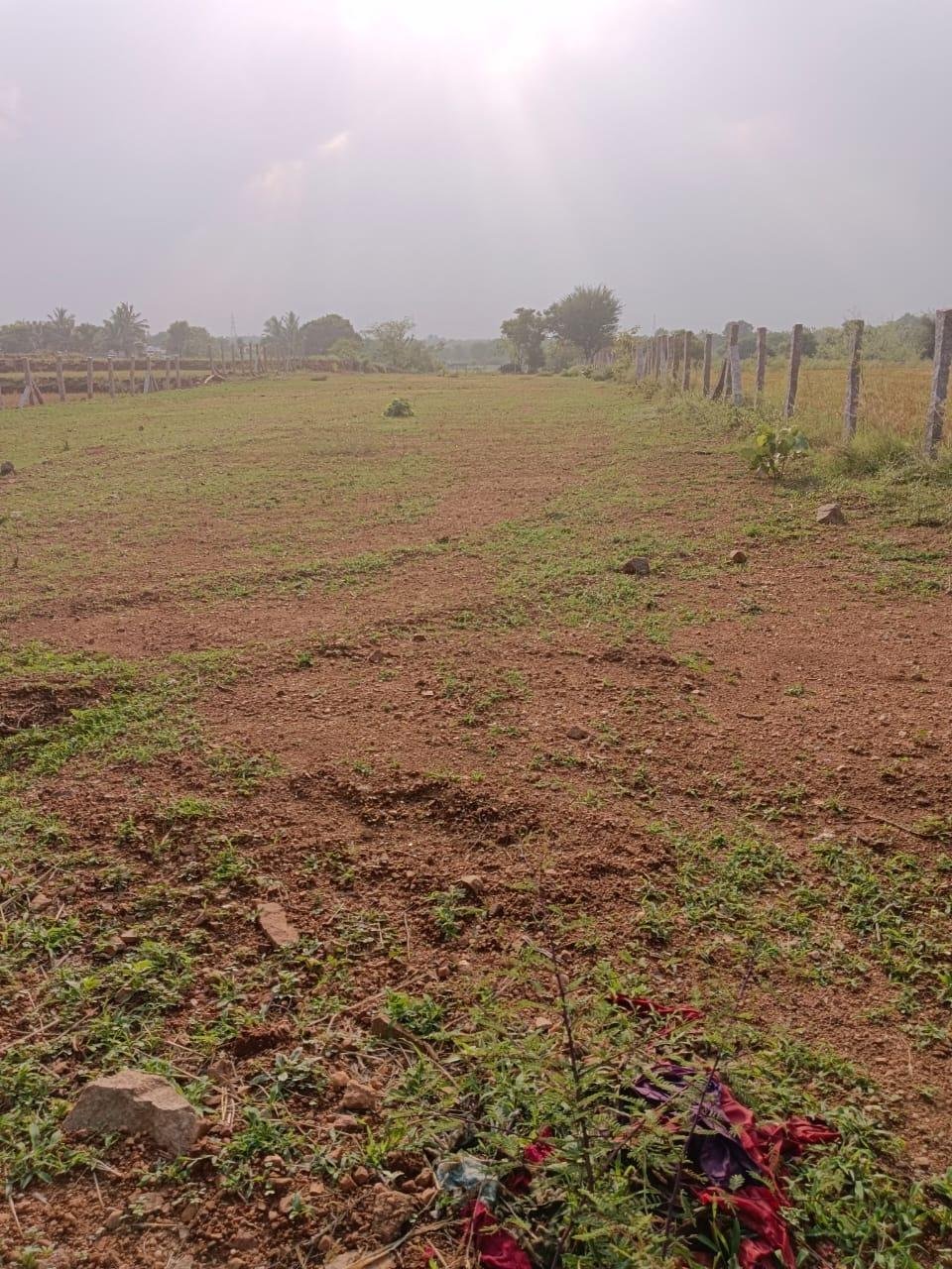 WhatsApp-Image-2023-05-01-at-3.01.39-PM