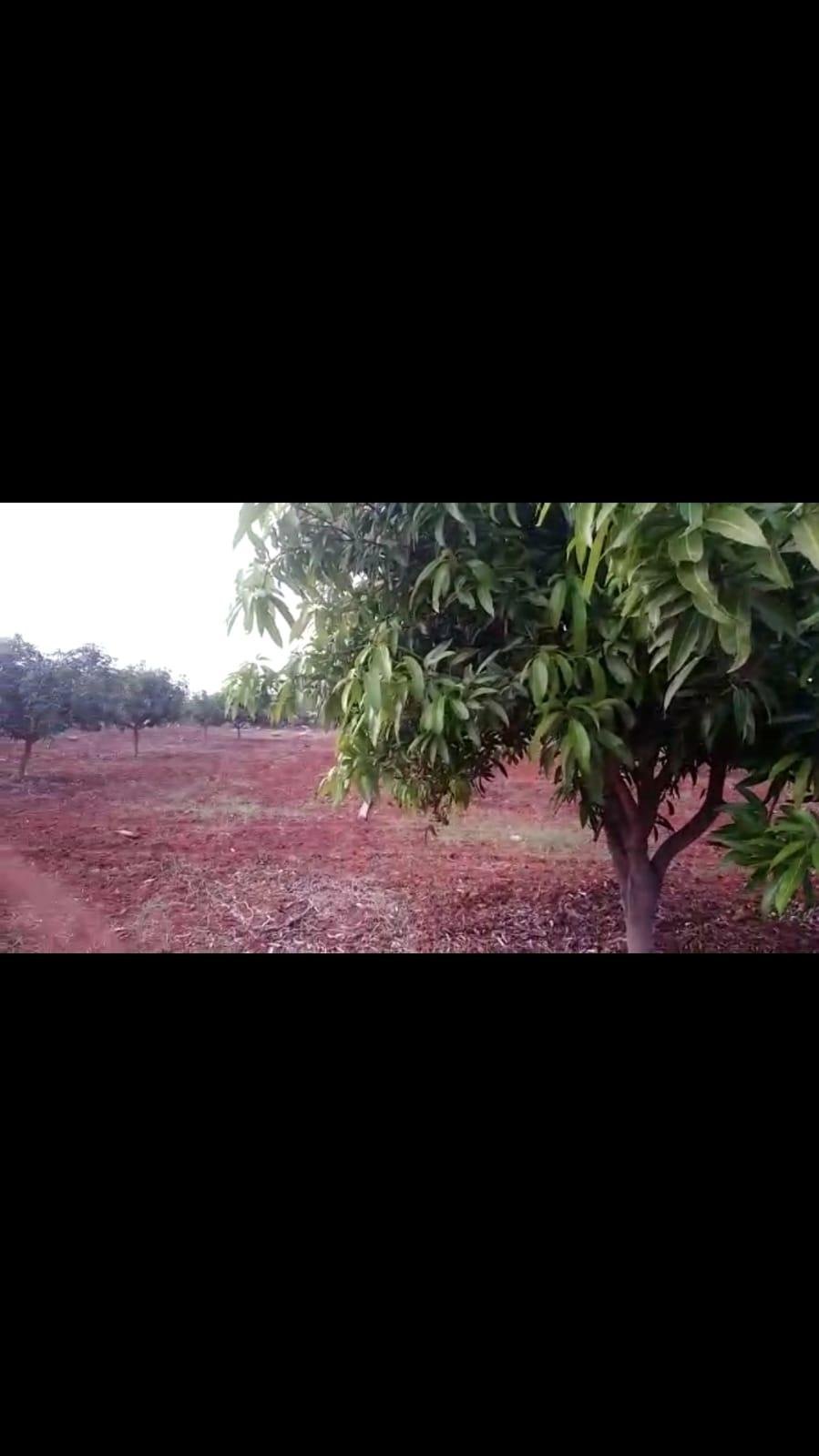 WhatsApp-Image-2023-05-02-at-2.32.51-PM