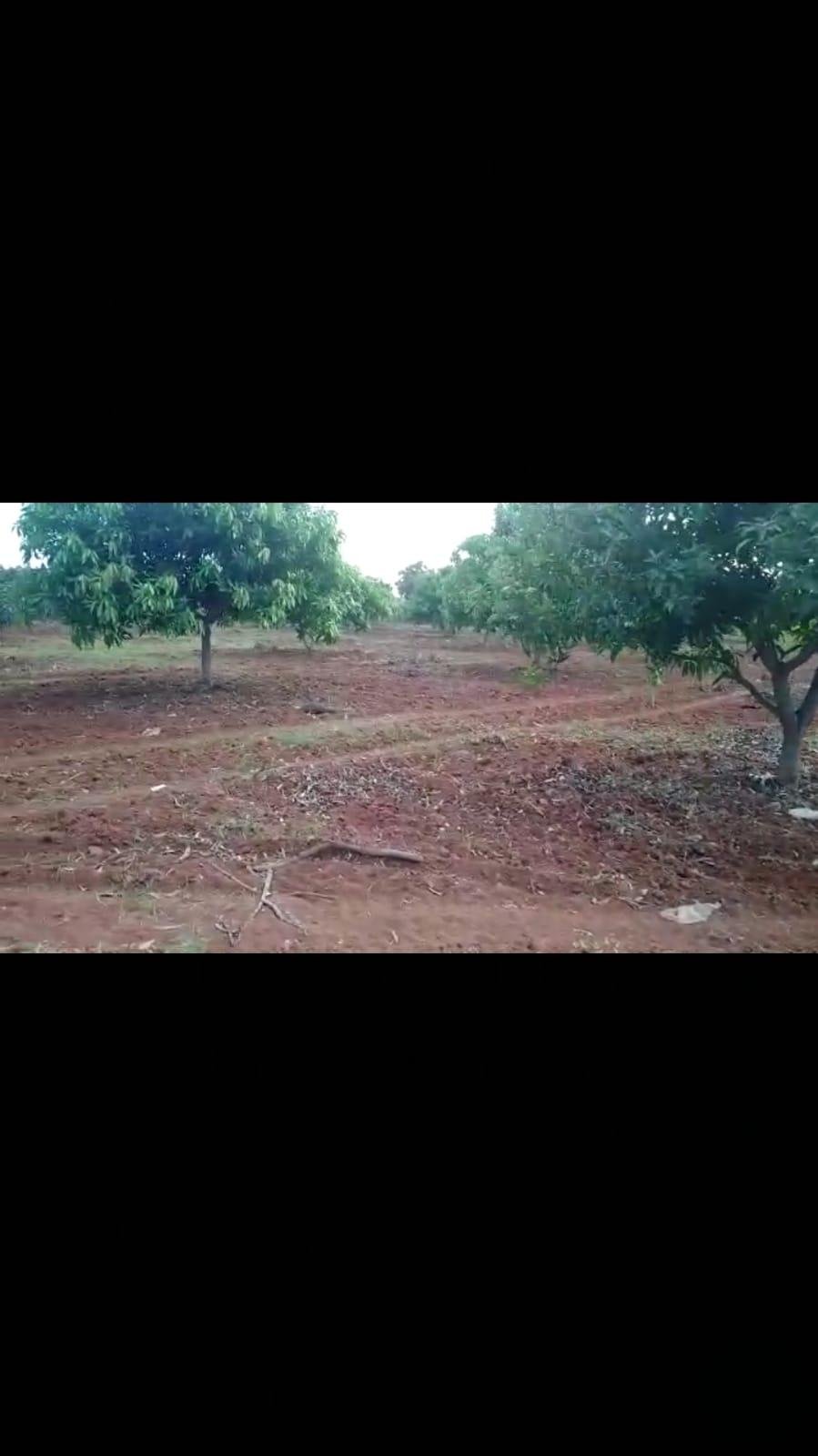 WhatsApp-Image-2023-05-02-at-2.32.52-PM-1