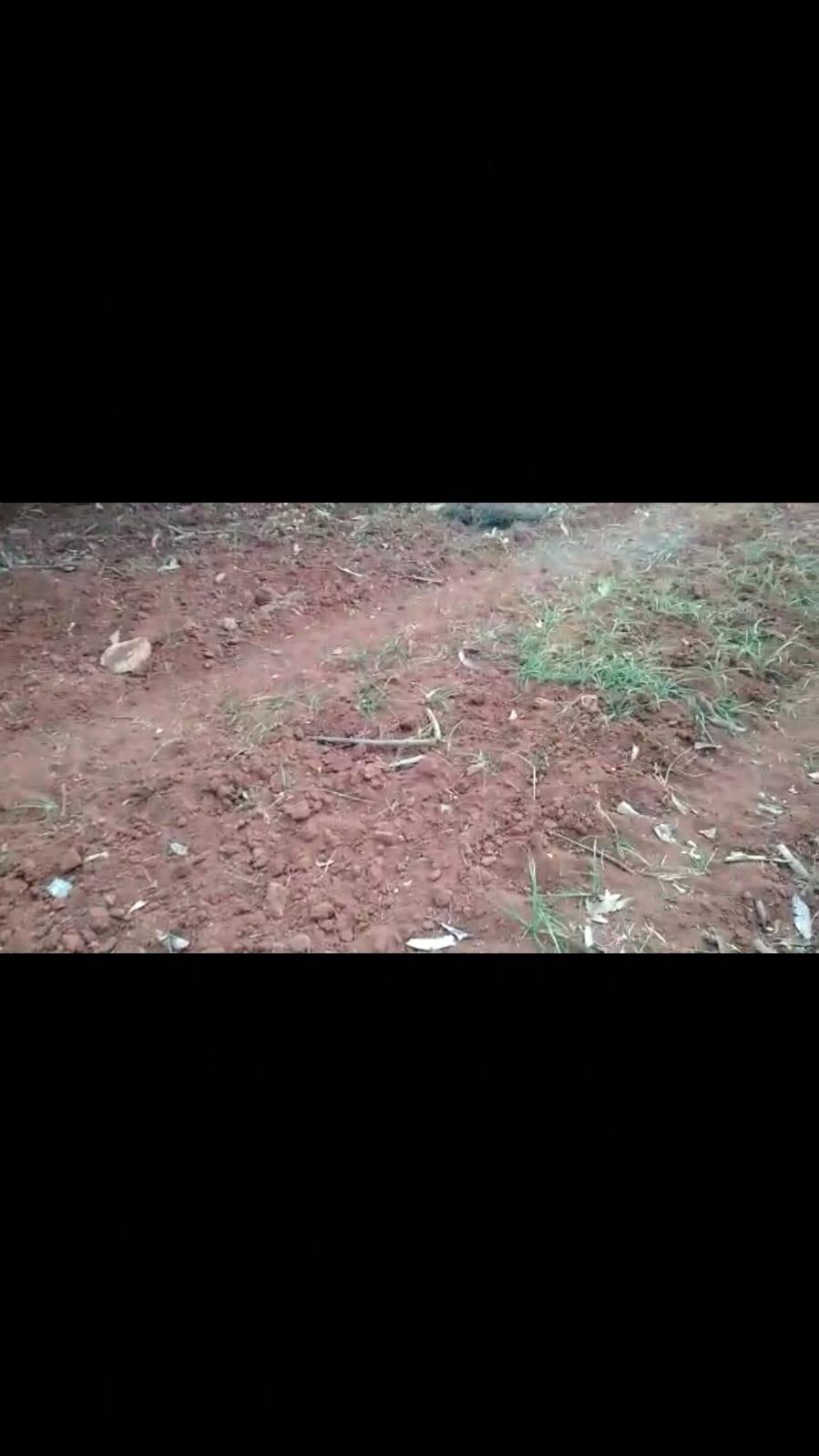 WhatsApp-Image-2023-05-02-at-2.32.52-PM