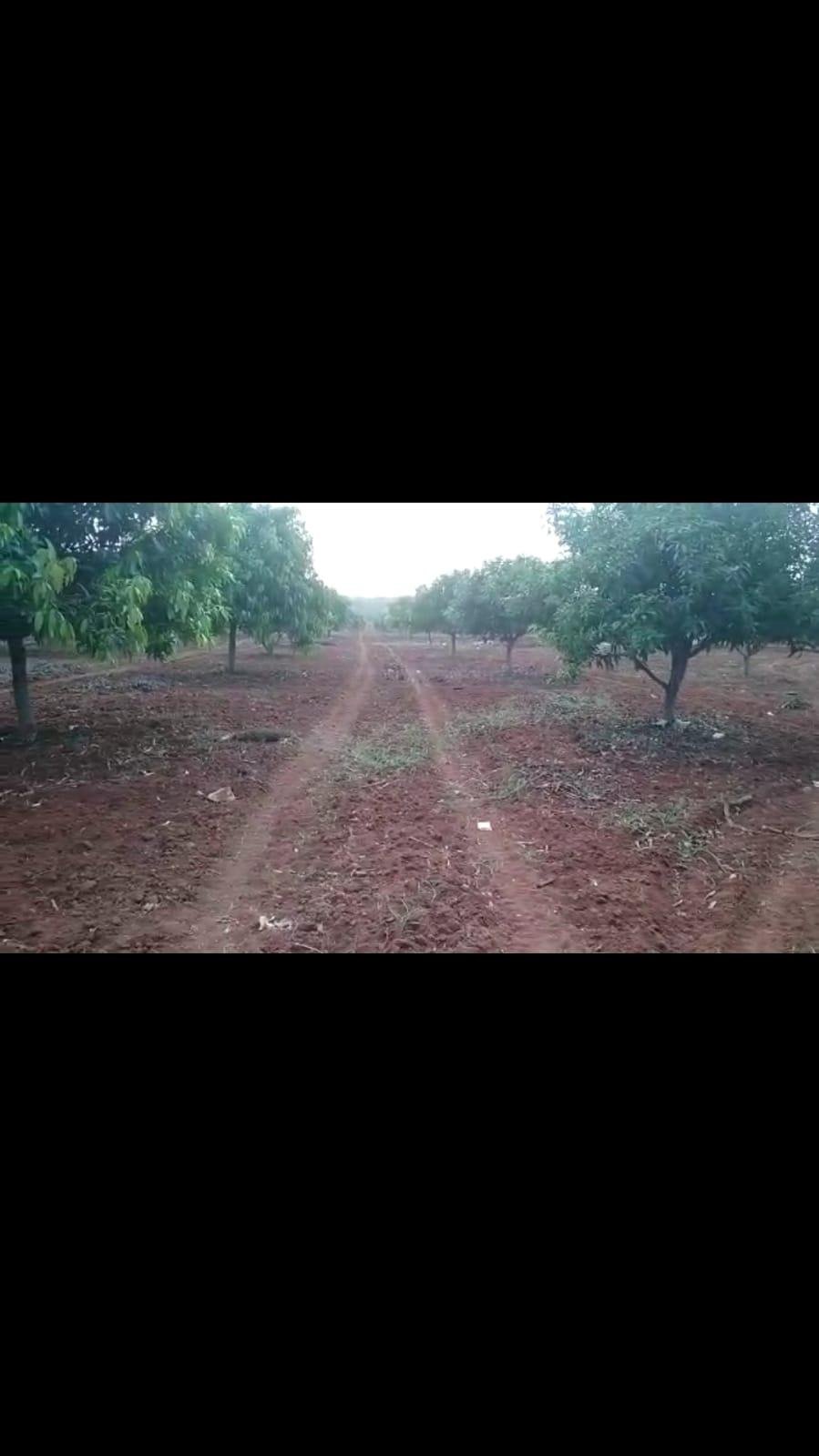 WhatsApp-Image-2023-05-02-at-2.32.53-PM-2