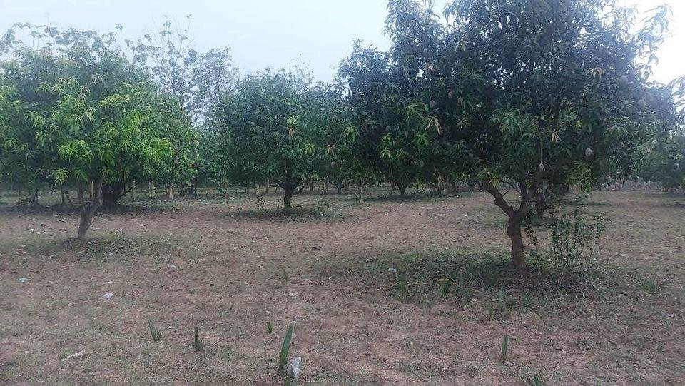 WhatsApp-Image-2023-05-02-at-4.55.04-PM