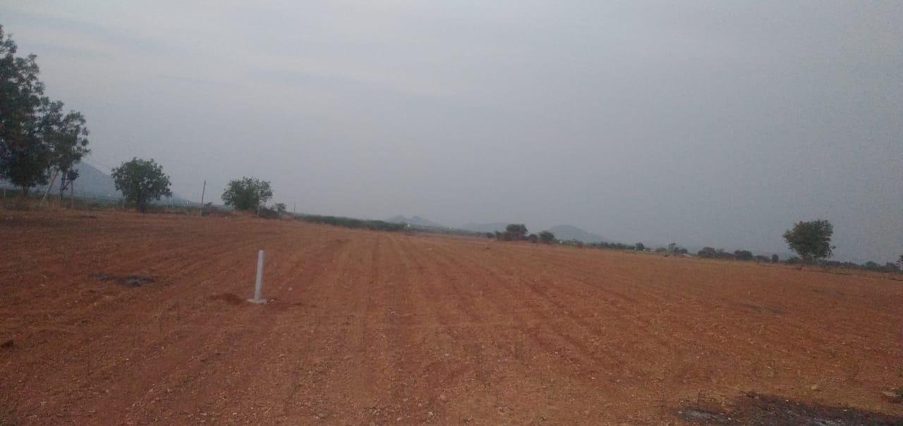 WhatsApp-Image-2023-05-03-at-10.50.01-AM