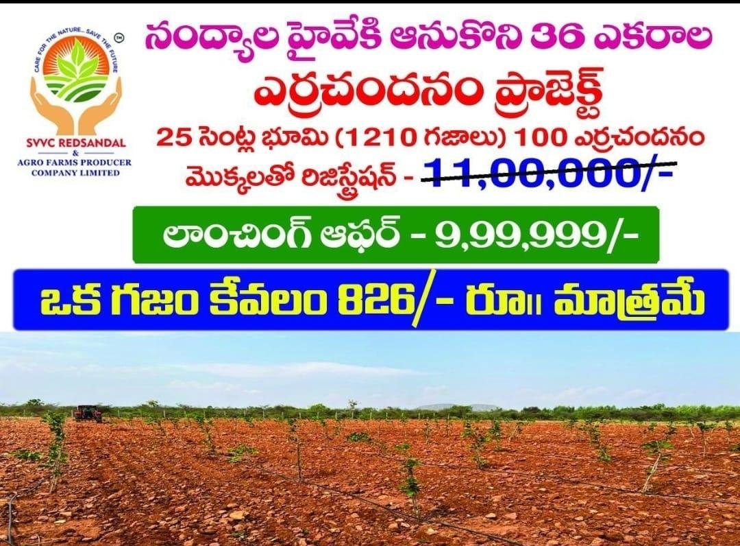 WhatsApp-Image-2023-05-03-at-5.22.57-PM