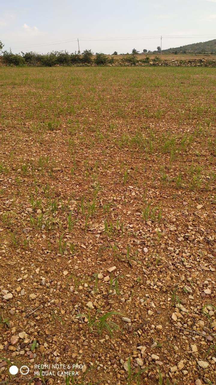 WhatsApp-Image-2023-05-03-at-8.49.25-PM-1