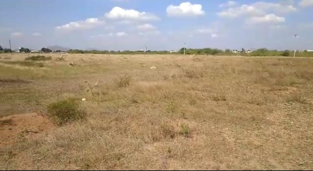 WhatsApp-Image-2023-05-04-at-10.42.22-AM