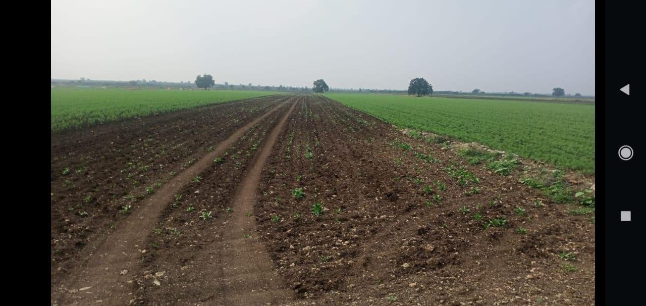 WhatsApp-Image-2023-05-04-at-11.03.03-AM