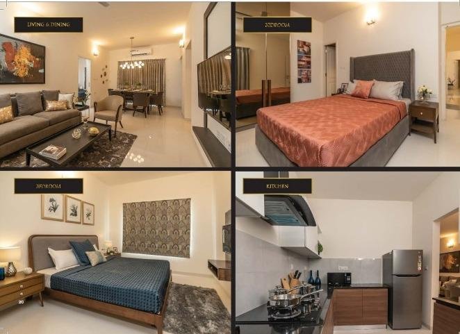 WhatsApp-Image-2023-05-04-at-11.08.55-AM