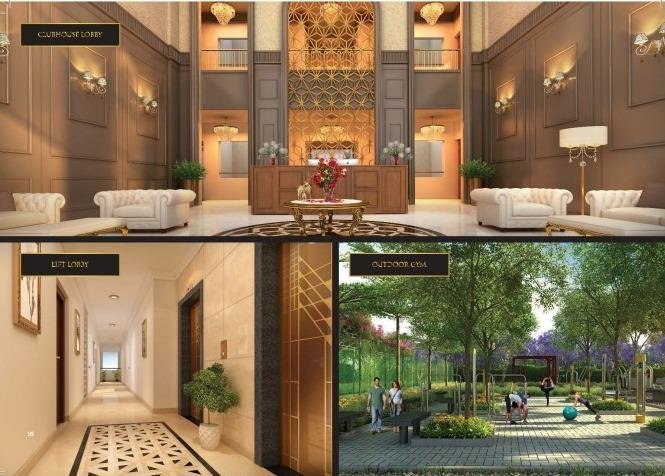 WhatsApp-Image-2023-05-04-at-11.09.29-AM