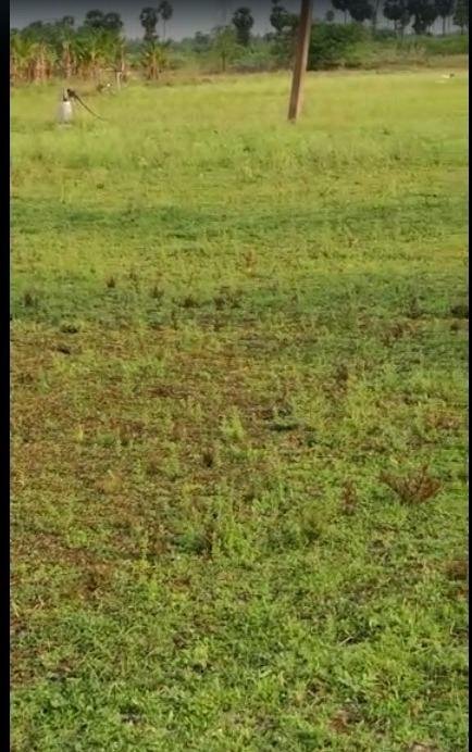 WhatsApp-Image-2023-05-04-at-4.56.39-PM