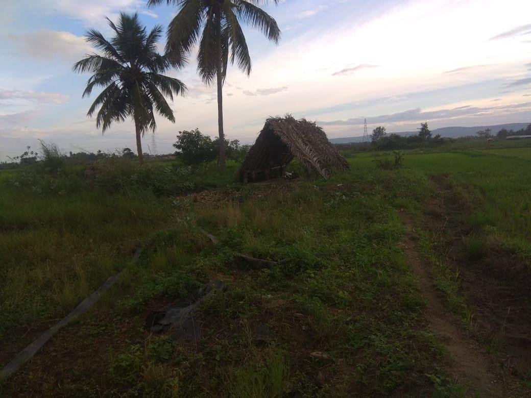 WhatsApp-Image-2023-05-04-at-7.50.36-AM