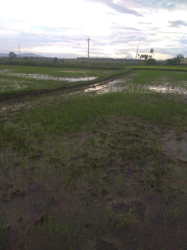 WhatsApp-Image-2023-05-04-at-7.50.37-AM-1