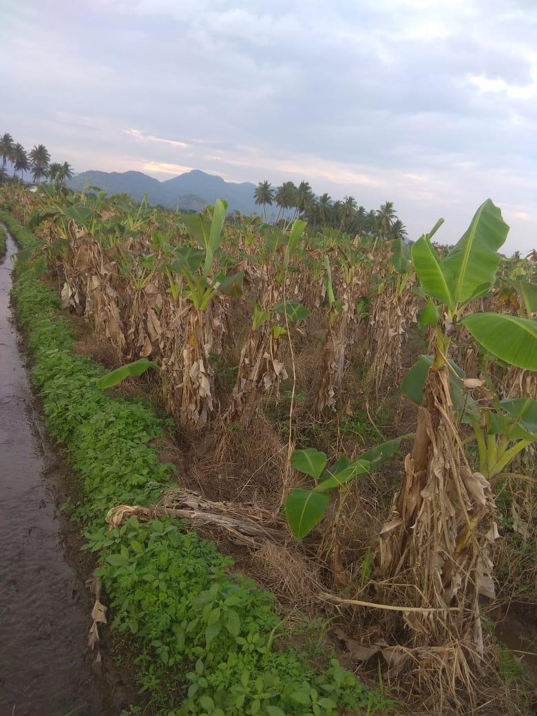 WhatsApp-Image-2023-05-04-at-7.50.39-AM