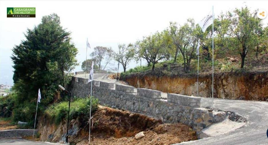 WhatsApp-Image-2023-05-05-at-2.46.11-PM