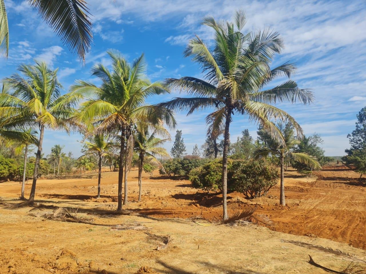 WhatsApp-Image-2023-05-09-at-10.27.19-AM