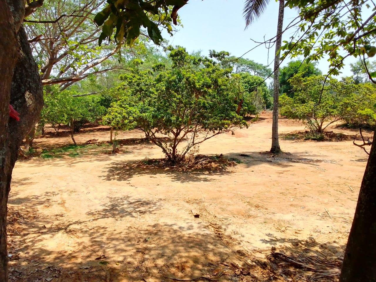 WhatsApp-Image-2023-05-09-at-10.27.24-AM