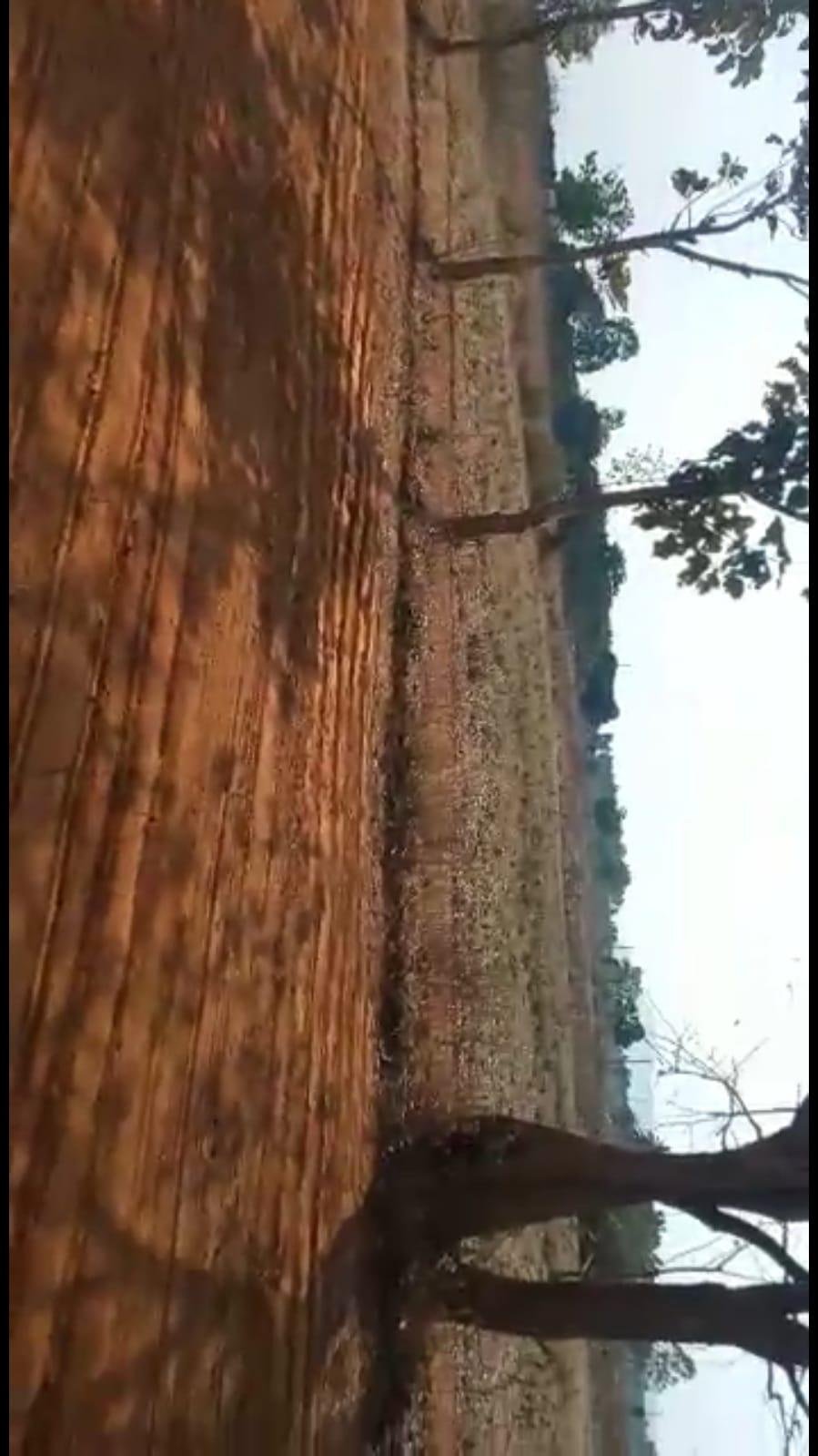 WhatsApp-Image-2023-05-09-at-2.47.04-PM-1