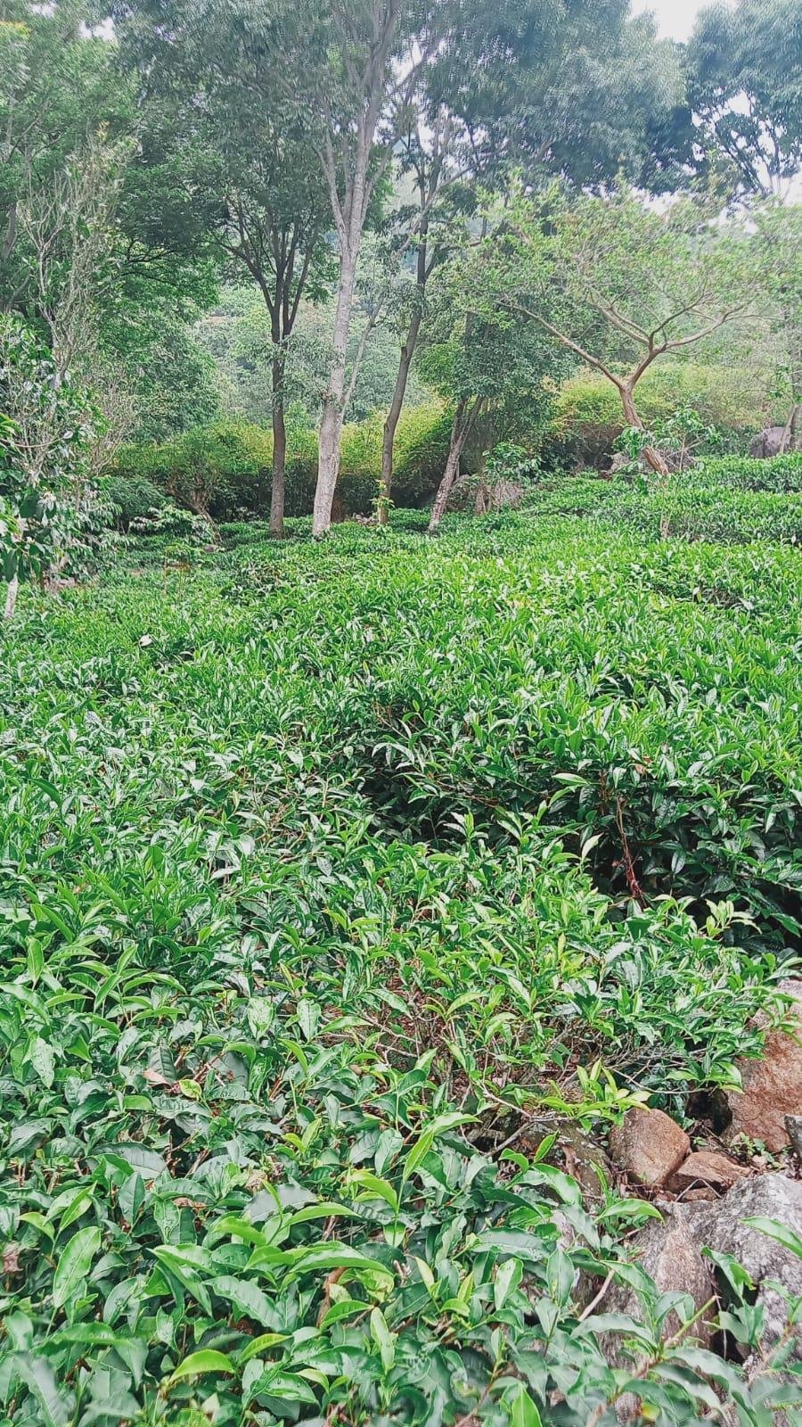 WhatsApp-Image-2023-05-09-at-3.24.02-PM